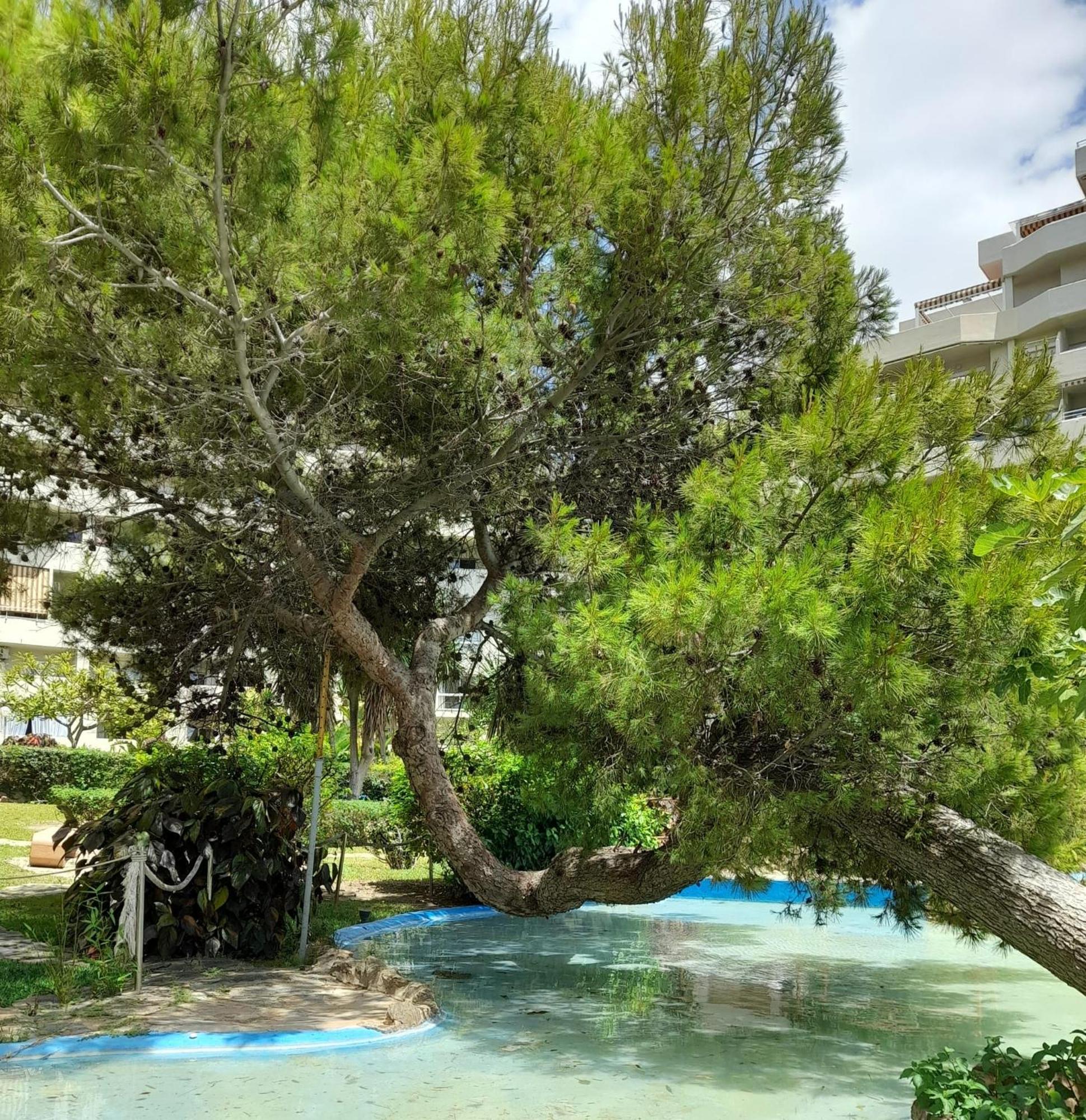 Benalbeach R&R Suite Benalmadena Luaran gambar
